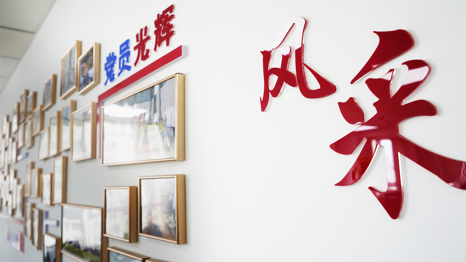 公司风采